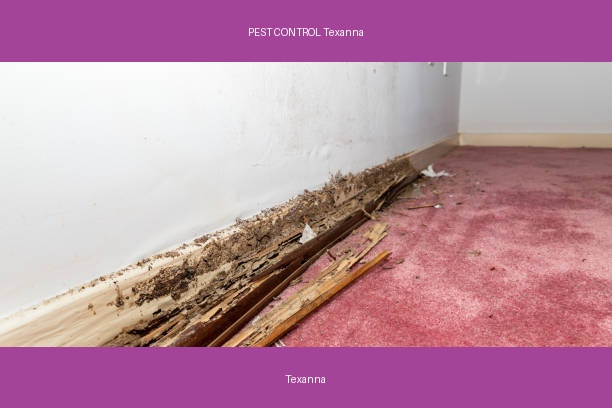 PEST CONTROL Texanna